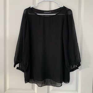 Sheer Velvet blouse